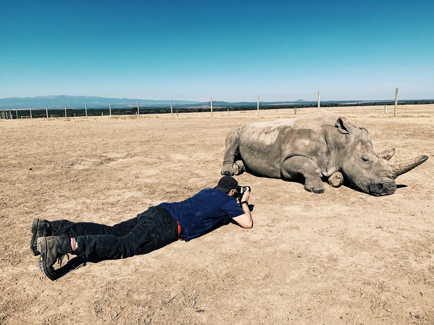 Justin Mott photographs a resting northern white rhino at ground level in Kenya.